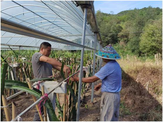 1658302880738447.jpg 1658302880738447.jpg