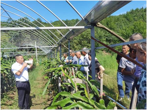 1658302899582375.jpg 1658302899582375.jpg