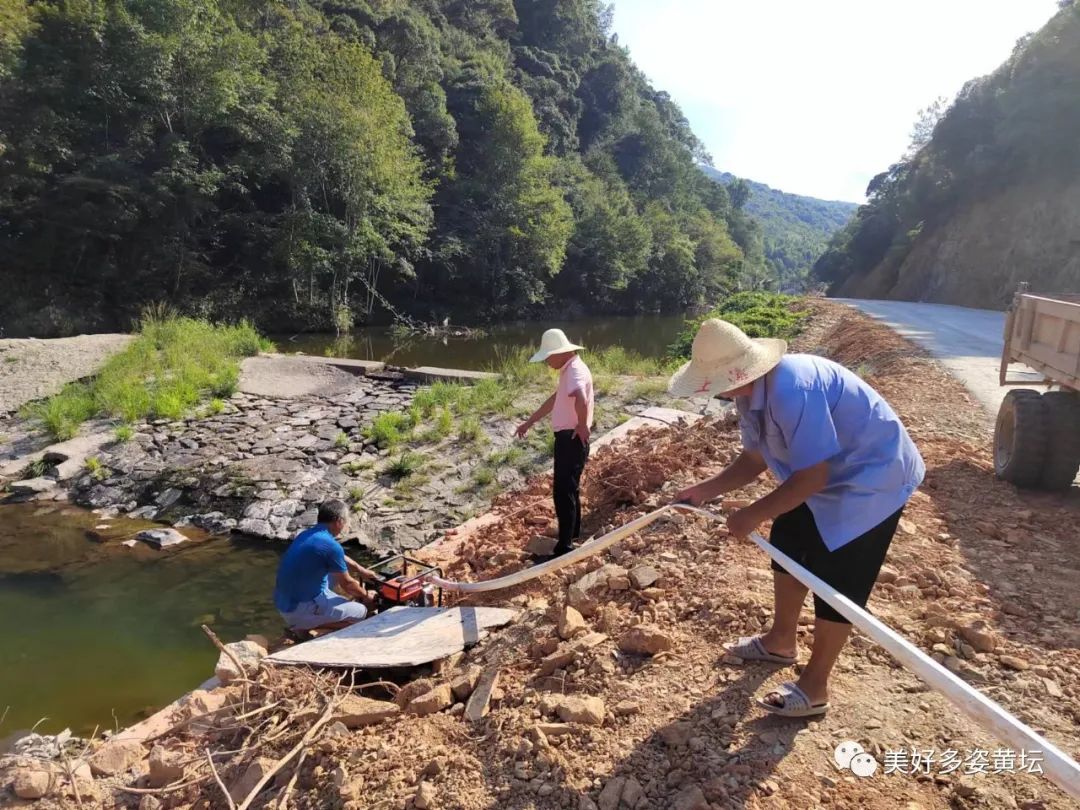 1661823663757867.jpg 1661823663757867.jpg