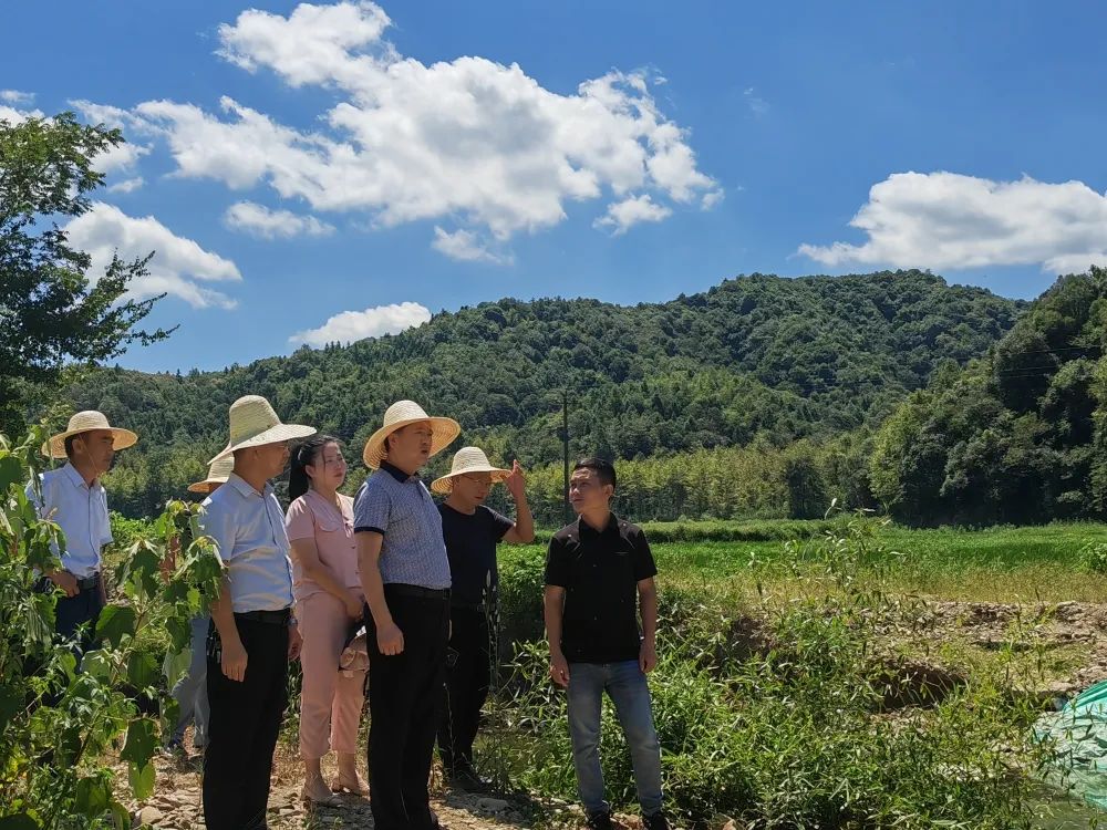 1667967040290541.jpg 1667967040290541.jpg