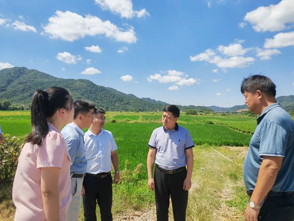 1667967077594096.jpg 1667967077594096.jpg